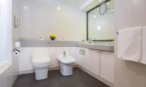 هتل میلینیوم پلازا داون تاون دبی هتل میلینیوم پلازا داون تاون دبی